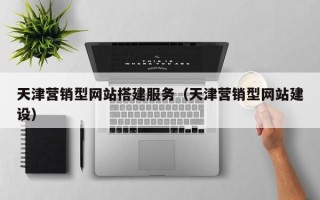 平阳天津营销型网站搭建服务（天津营销型网站建设）