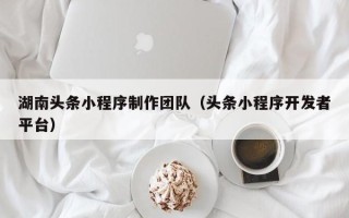 平阳湖南头条小程序制作团队（头条小程序开发者平台）