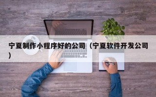 平阳宁夏制作小程序好的公司（宁夏软件开发公司）