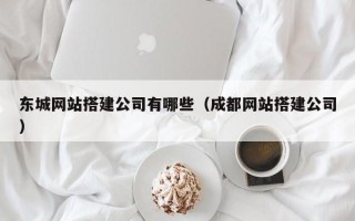 平阳东城网站搭建公司有哪些（成都网站搭建公司）