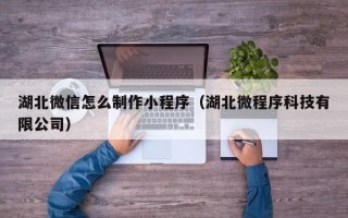 平阳湖北微信怎么制作小程序（湖北微程序科技有限公司）